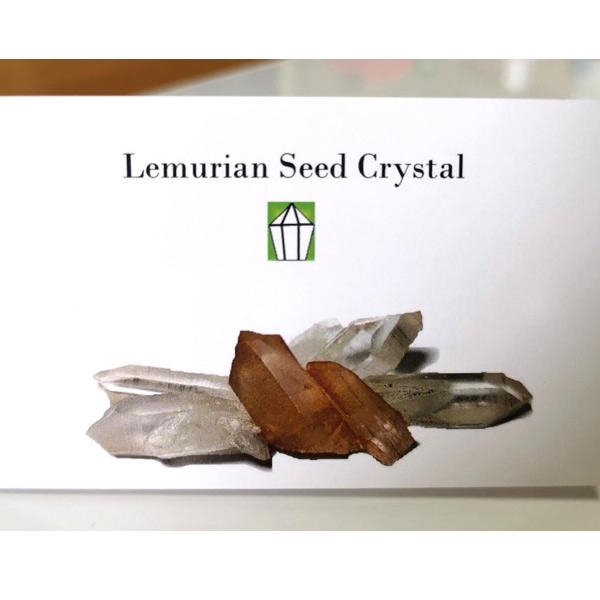 初期の レムリアンシードクリスタル ペンダント | 9枚目